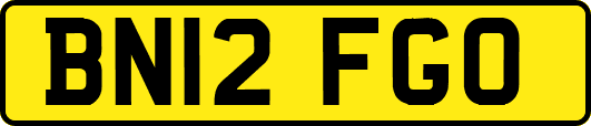 BN12FGO