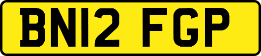BN12FGP