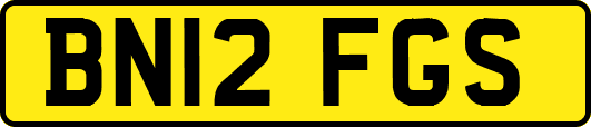 BN12FGS