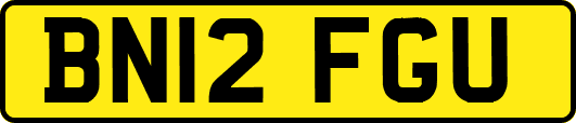 BN12FGU