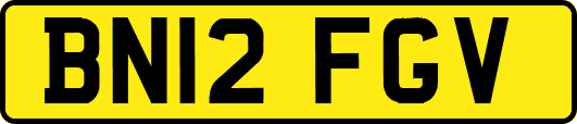 BN12FGV
