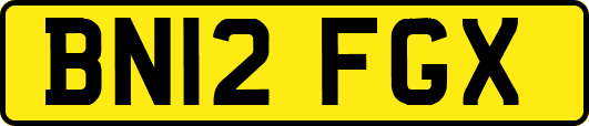 BN12FGX