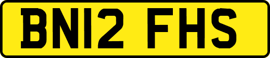 BN12FHS