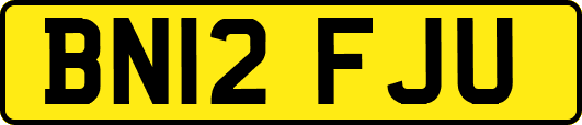 BN12FJU