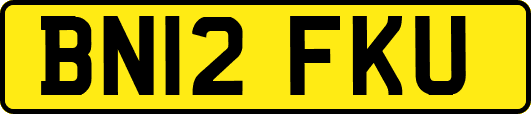 BN12FKU