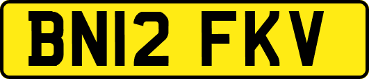 BN12FKV