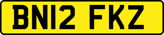 BN12FKZ
