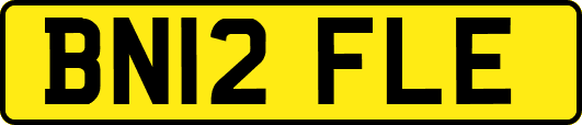 BN12FLE
