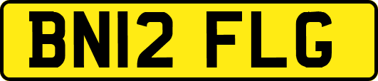 BN12FLG
