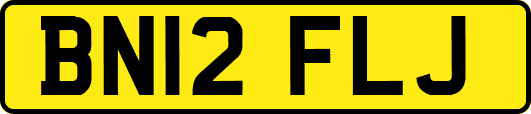 BN12FLJ