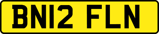 BN12FLN