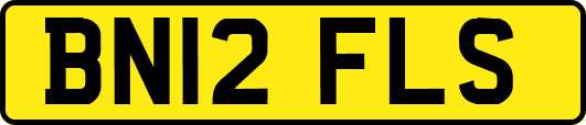 BN12FLS