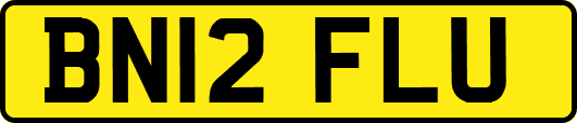 BN12FLU