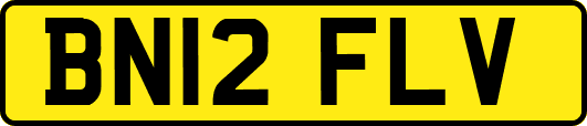 BN12FLV