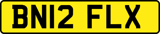 BN12FLX