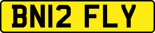 BN12FLY