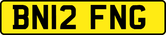 BN12FNG