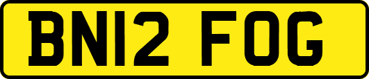 BN12FOG