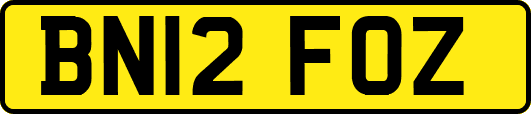 BN12FOZ