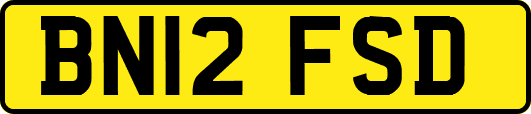 BN12FSD