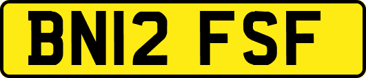 BN12FSF
