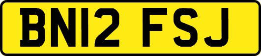 BN12FSJ