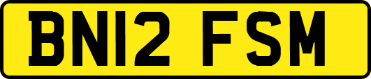 BN12FSM