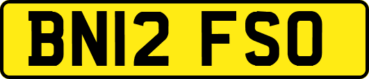 BN12FSO