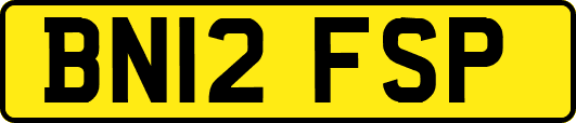 BN12FSP