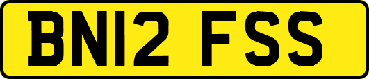 BN12FSS