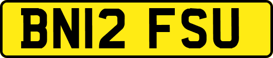 BN12FSU