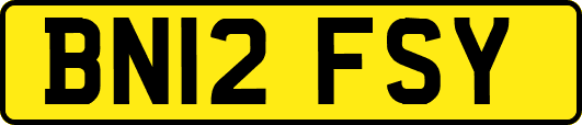 BN12FSY