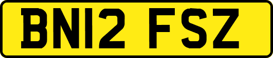 BN12FSZ