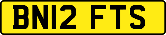 BN12FTS