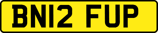 BN12FUP