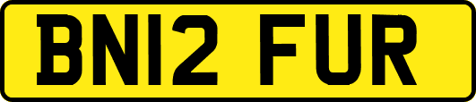 BN12FUR