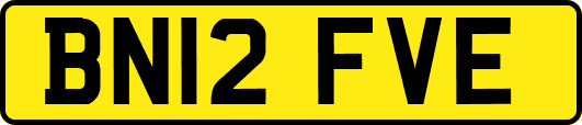 BN12FVE