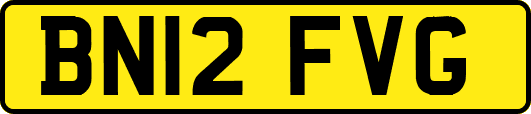 BN12FVG