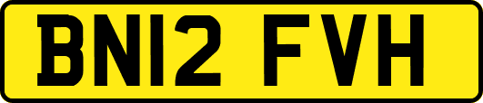 BN12FVH