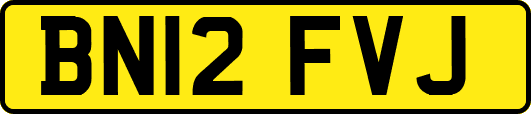BN12FVJ