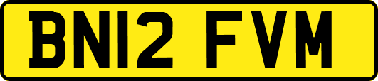 BN12FVM