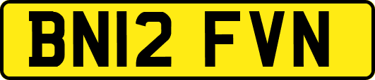 BN12FVN