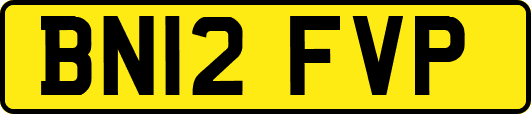 BN12FVP