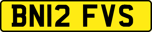 BN12FVS