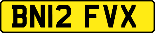 BN12FVX