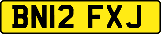 BN12FXJ