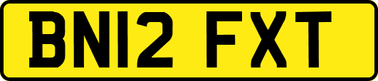 BN12FXT