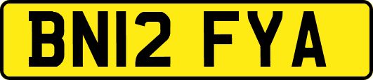 BN12FYA