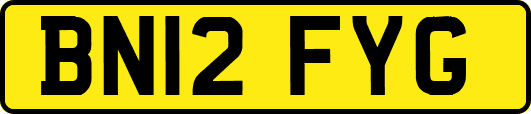 BN12FYG
