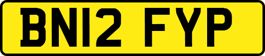 BN12FYP